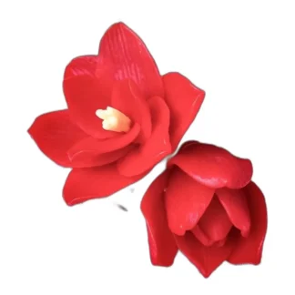 Amaryllis kwiat ZESTAW Silikonowa forma do mydła, świec, gipsu, jesmonite 2szt — zdjęcie 1