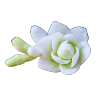 Kwiat Frez (M) Forma Silikonowa do mydła, świec, gipsu, jesmonite 1 szt. — zdjęcie 1