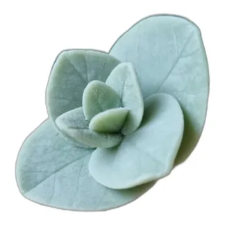 Liście eukaliptusa Silikonowa forma do mydła, świec, gipsu, jesmonite 1 szt. — zdjęcie 1