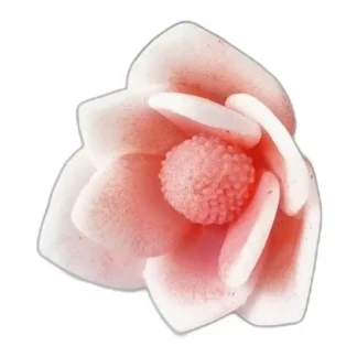 Magnolia liliiflora M Silikonowa forma do mydła, świec, gipsu, jesmonite, — zdjęcie 1