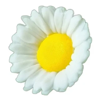 Stokrotka Rumianek forma do mydła, świec, gipsu, jesmonite — zdjęcie 1