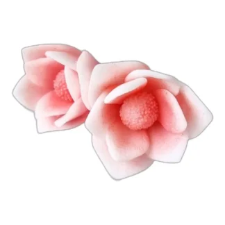 ZESTAW Magnolia liliiflora S+M forma do mydła, świec, gipsu, jesmonite 2 szt. — zdjęcie 1